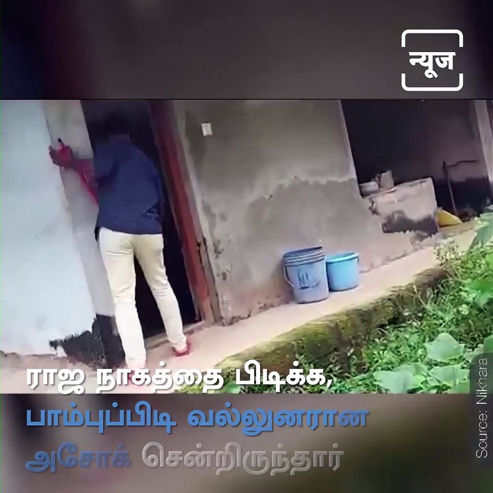 Snake Catcher Nearly Escaped From Snake Bite In Karnataka