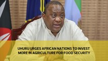 Uhuru urges African nations to invest more in agriculture for food security