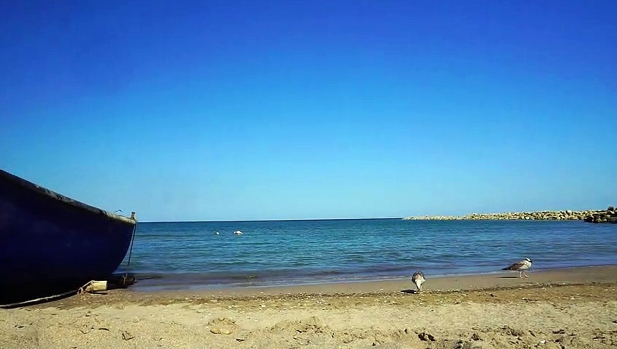 Sea
