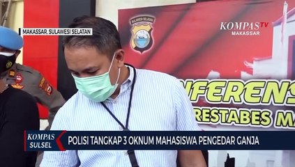 Polisi Tangkap 3 Oknum Mahasiswa Pengedar Ganja