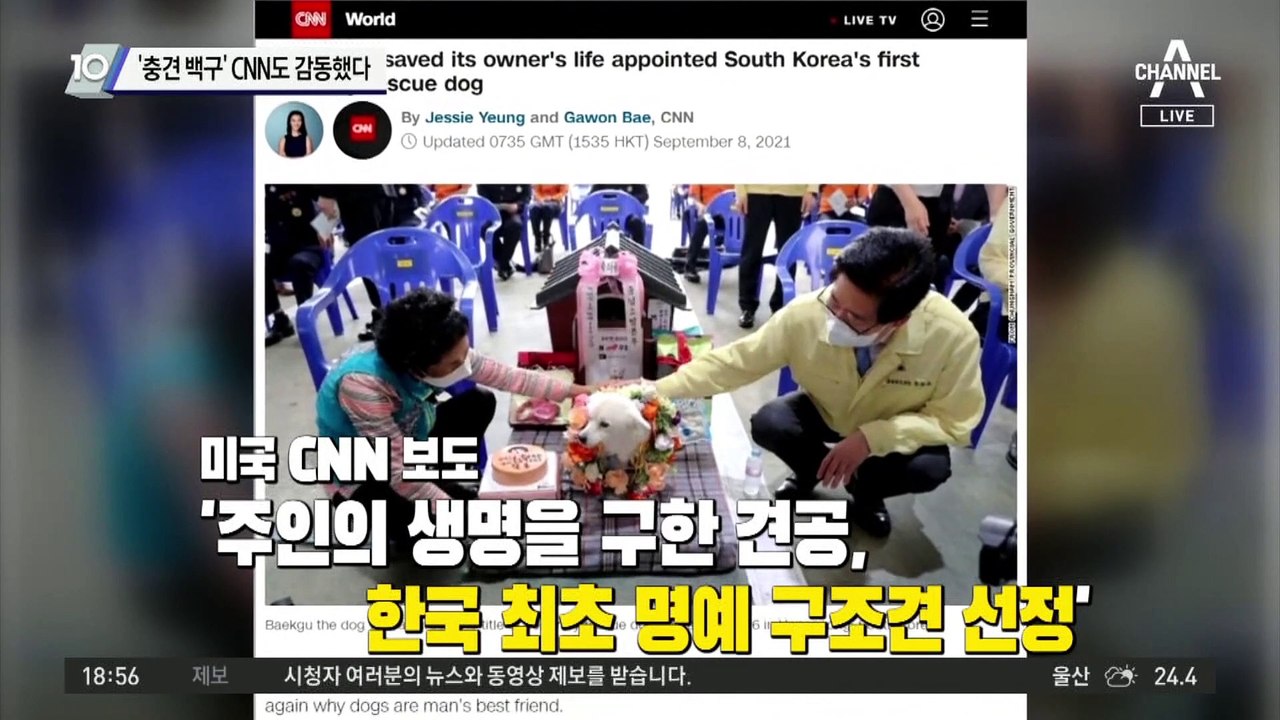 ‘충견 백구’ CNN도 감동했다
