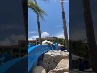 Adventurous Iguana Takes a Ride Down Water Slide