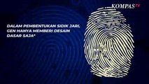 Alasan Mengapa Sidik Jari Tiap Orang Berbeda, Ini Penjelasannya