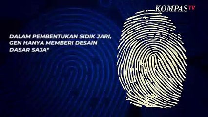Alasan Mengapa Sidik Jari Tiap Orang Berbeda, Ini Penjelasannya