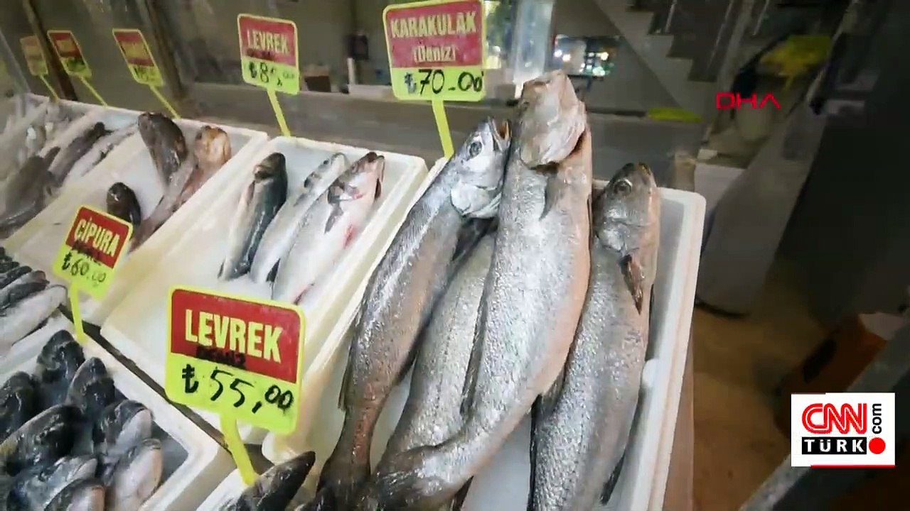 Balık 70, kafasındaki taş 600 lira