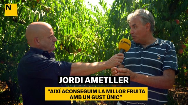 REPORTATGE CASA AMETLLER: Així aconseguim la millor fruita amb un gust únic