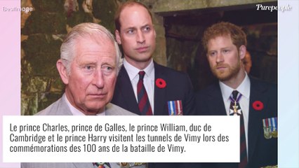 Prince Harry renoue avec la famille royale pour un projet émouvant