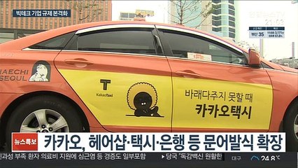 카카오 문어발 확장…"골목상권 침해 vs 혁신 저해"