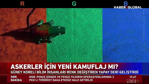 Güney Koreli bilim insanları renk değiştiren yapay deri geliştirdi