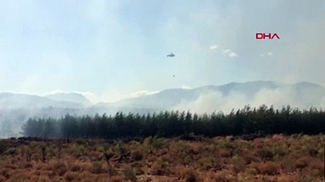 Antalya Kaş'ta orman yangını