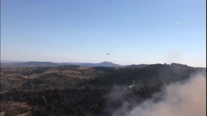 Son dakika: Çubuk'taki orman yangınına havadan ve karadan müdahale ediliyor (1)