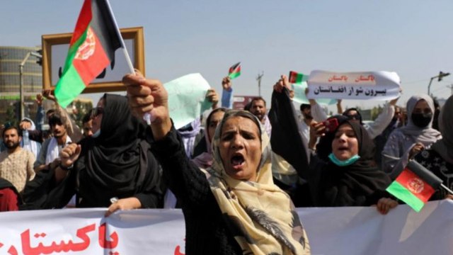 Women can't become ministers, should reproduce only: Taliban