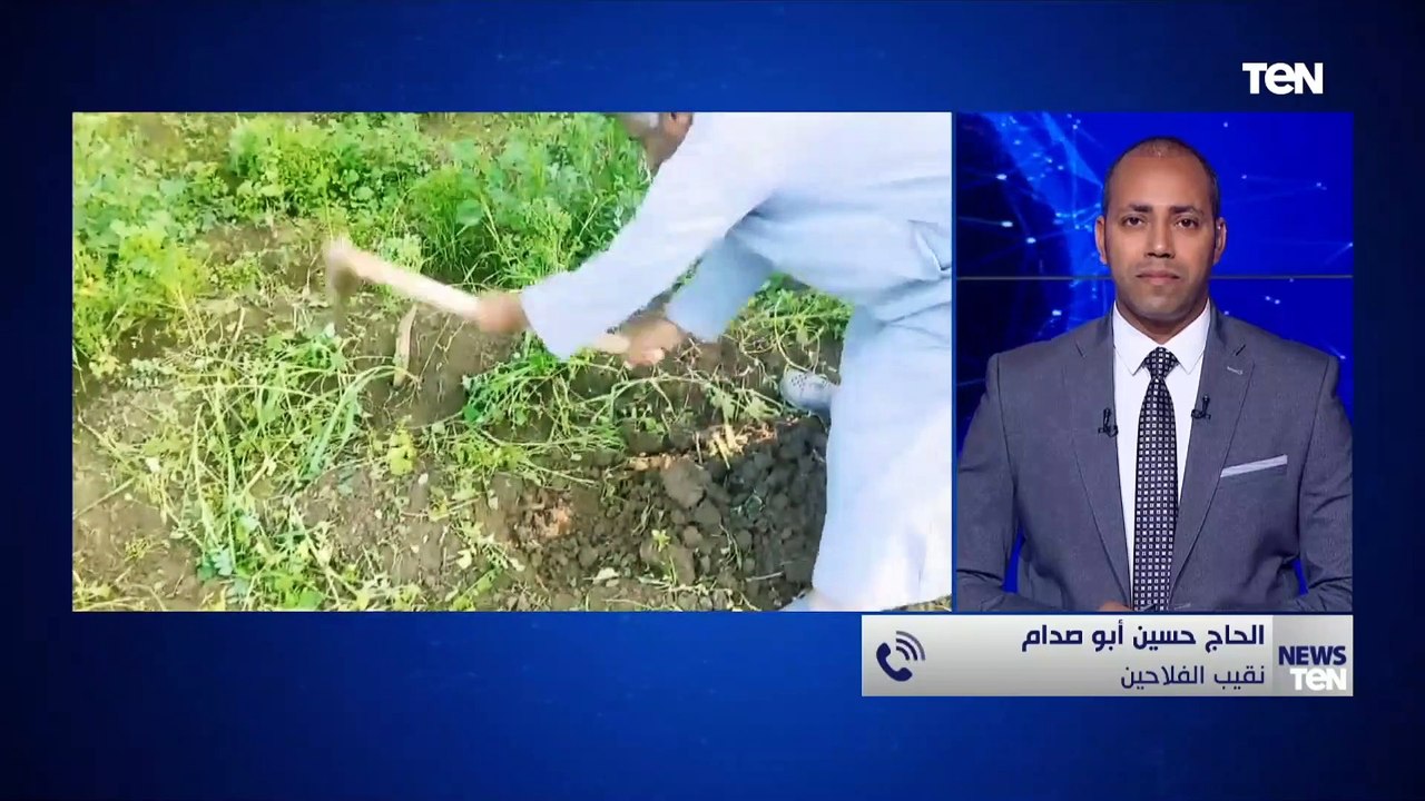 نقيب الفلاحين: هناك جهود كبيرة قامت بها الدولة برعاية الرئيس السيسي لم يكن يحلم بها أي فلاح مصري