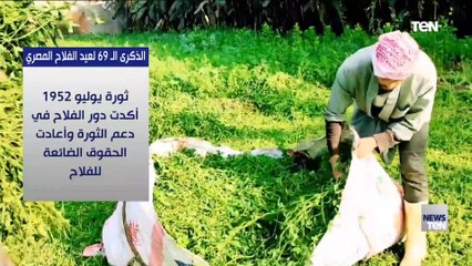 في الذكرى الـ69 لعيد الفلاح المصري.. الفلاح المصري يستعيد كرامته
