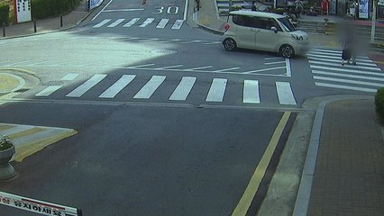 스쿨존에서 차로 모녀 친 50대 운전자 실형 선고 / YTN