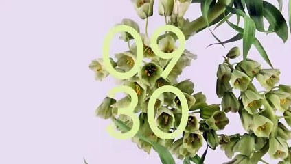 Google partilha vídeo com o Pixel 6, o novo topo de gama