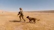 U.S. Soldiers and Military Working Dogs • Live Fire Exercise • Iraq