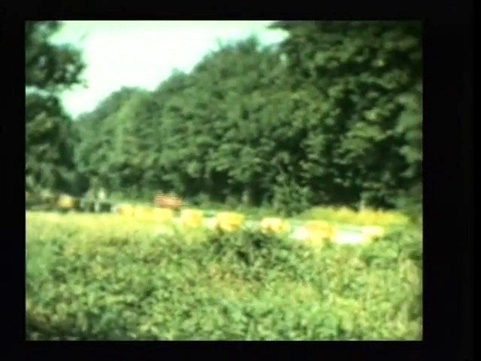 F1 1954 R08 - Grand Prix Italy / Monza - Highli...