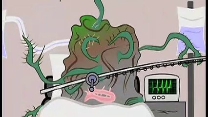 Coffee Whisky Cigarettes - RawRo