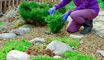 10 Tips for Making the Most of Your Landscaping Budget