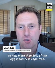 How Has the U.S. Egg Industry Changed in the Last 10 Years?