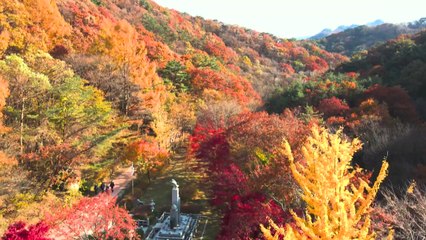 첫 단풍 예년보다 1∼3일 늦다...설악산 9월 28일 / YTN