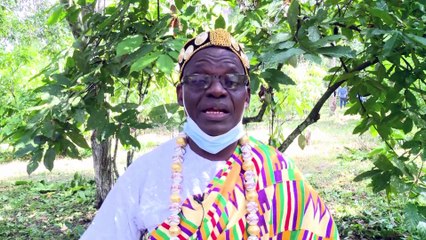 Travail des enfants : Le Comité national de surveillance sensibilise dans la Région de l'Agneby Tiassa