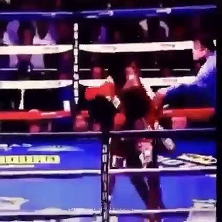 Si te ríes pierdes.Mira este video te hará reir..If you laugh you lose, watch this video it will make you laugh.