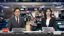 도심 하천에 '외래 거북이'…생태계 교란 비상