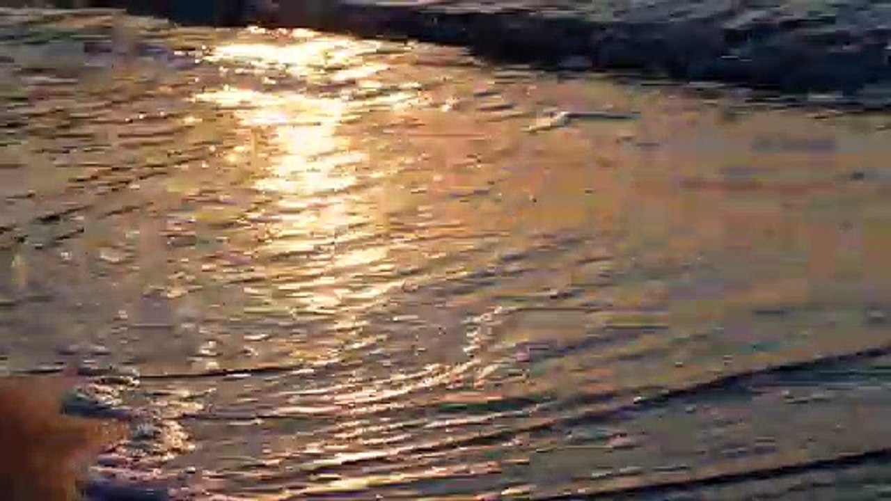 Sea - 4006