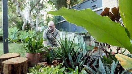 Groove stone of the Iman people returned 50 years later