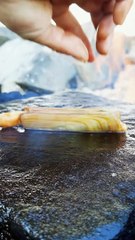 Natural Food - Cooking and eating  (4)