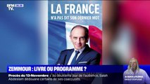 Ce que laisse entendre Éric Zemmour dans son livre 
