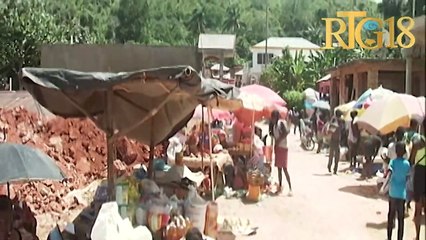 Dirijan misyon teknik Repiblik Chine Taïwan vizite plizyè sant miltisèvis pwojè agrikòl nan Gran Sid