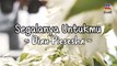 Dian Piesesha - Segalanya Untukmu (Official Lyric Video)