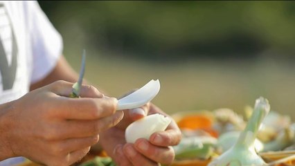 Terroir - Cévennes : un oignon tout en douceur !