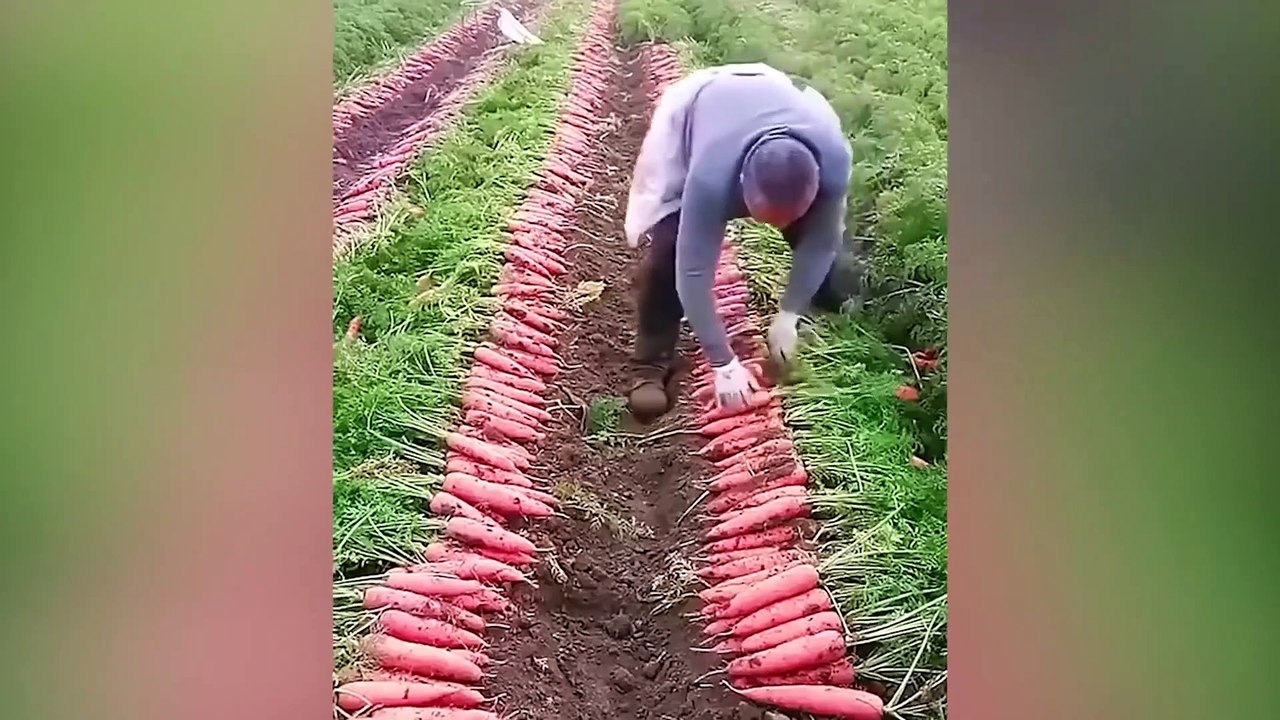 Fast Workers 12