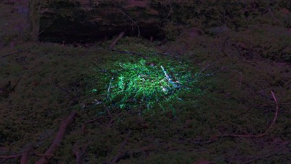 SONY DEMO 4K HDR: Sound of Light – Nghệ thuật trình diễn ánh sáng đỉnh cao