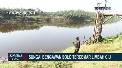 Sungai Bengawan Solo Tercemar, PDAM Sebut Air Masih Bisa Diolah
