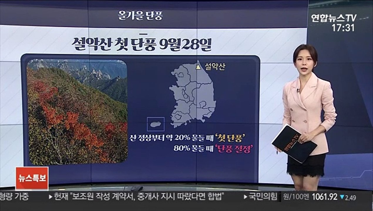 [그래픽뉴스] 올 가을 단풍