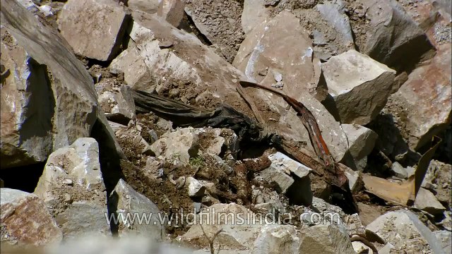 Broken road in Phata_ Uttarakhand Floods