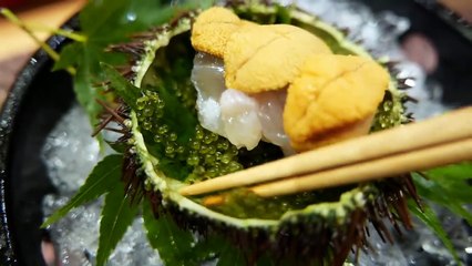 Japanese Food - $300 HIGH END SUSHI Teruzushi SUSHIBAE Japan