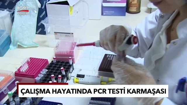 İş Hayatında PCR Testi Karmaşası: PCR Testi Zorunlu Mu? İşte Tüm Merak Edilenler! - TGRT Haber
