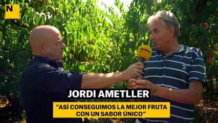 REPORTAJE CASA AMETLLER: "Así conseguimos la mejor fruta con un sabor único"