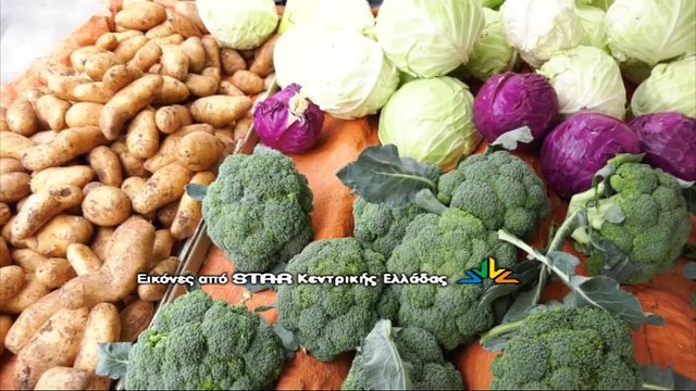 Δύσκολος χειμώνας με αυξήσεις των τιμών σε τρόφιμα, ηλεκτρικό ρεύμα και καύσιμα