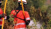 Andalusia, l'incendio non si ferma: 1 morto e 1000 evacuati