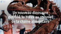 Un nouveau dinosaure détrône le T-Rex au sommet de la chaîne alimentaire