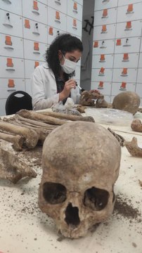 HACETTEPE'NİN ANTİK DNA LABORATUVARI NEOLİTİK DÖNEME IŞIK TUTUYOR