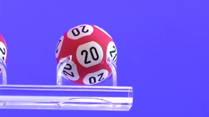Lotto : les numéros gagnants du 14 août 2021