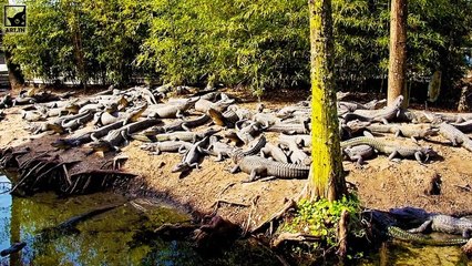 World´s most dangerous islands